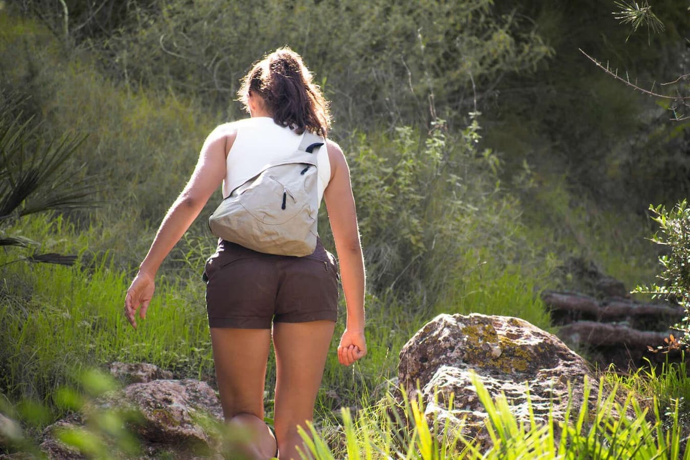 Senderismo con la regla: sin preocupaciones a través de la naturaleza
