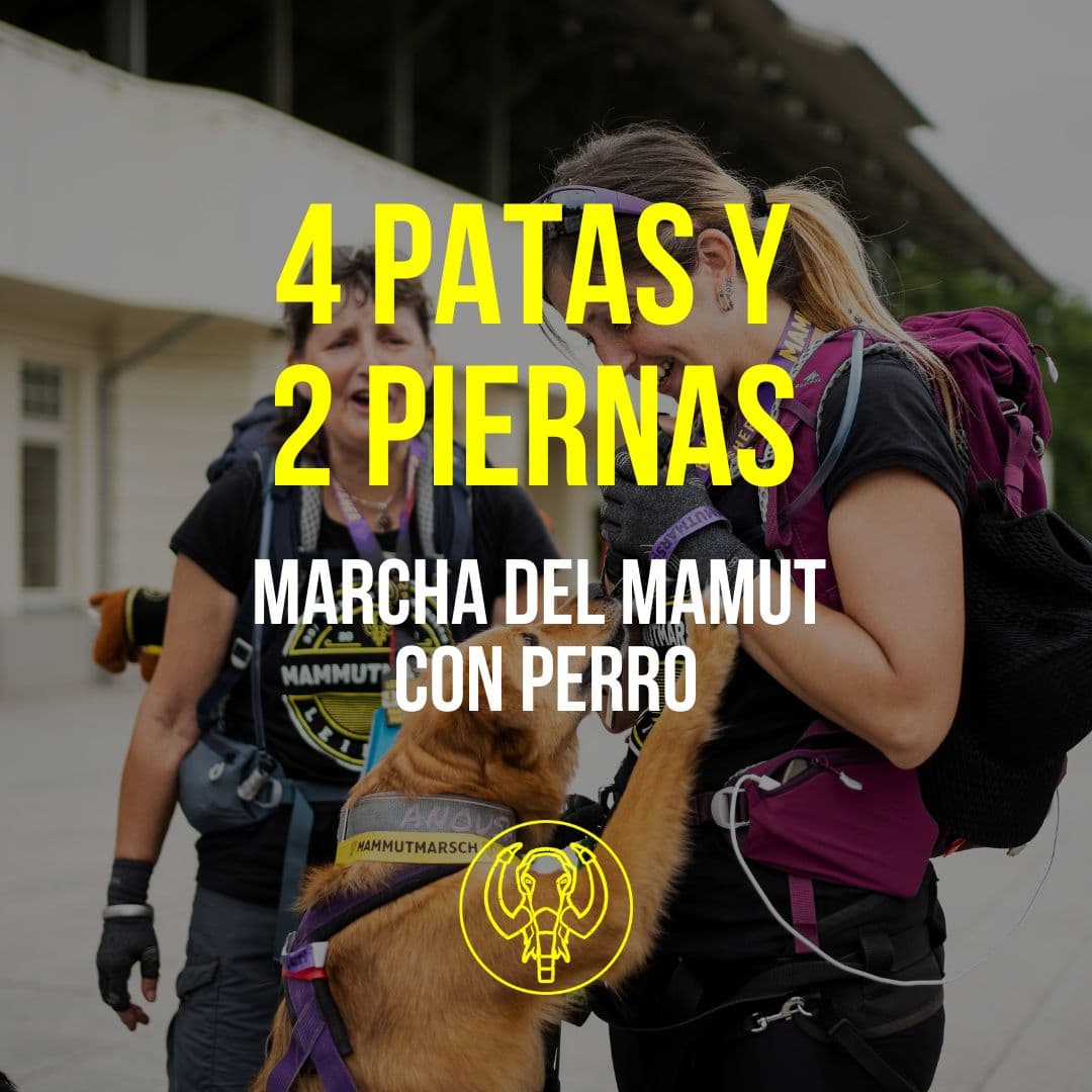 Cuatro patas y dos piernas: la Marcha del Mamut con tu perro