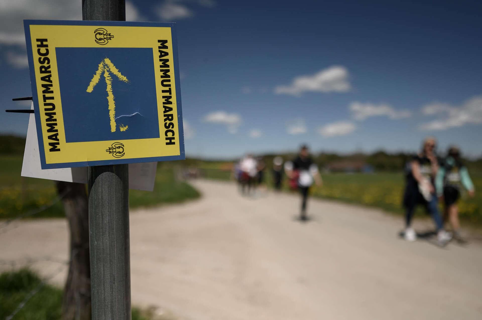 Hacer una ruta de senderismo de 20 km sin estar en forma, ¿es posible?